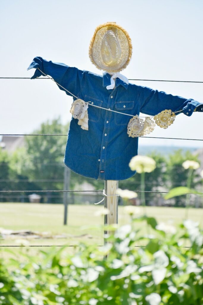 garden scarecrow